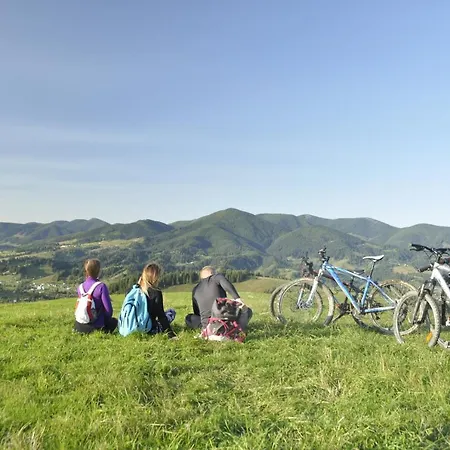 рада дараба Krasnik