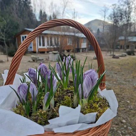 게스트하우스 рада дараба Krasnik